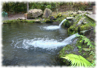 陣馬高原鱒釣場の風景